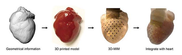 Всеки имплант е произведен специално за пациента на базата на 3D сканиране на сърцето им. Снимка: Вашингтонския университет в Сейнт Луис