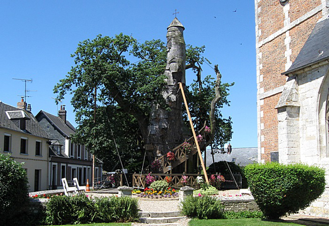 Многовековно дърво, превърнато в часовникова кула