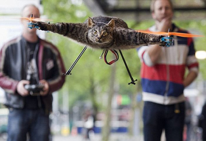 Orvillecopter – летяща нежива котка