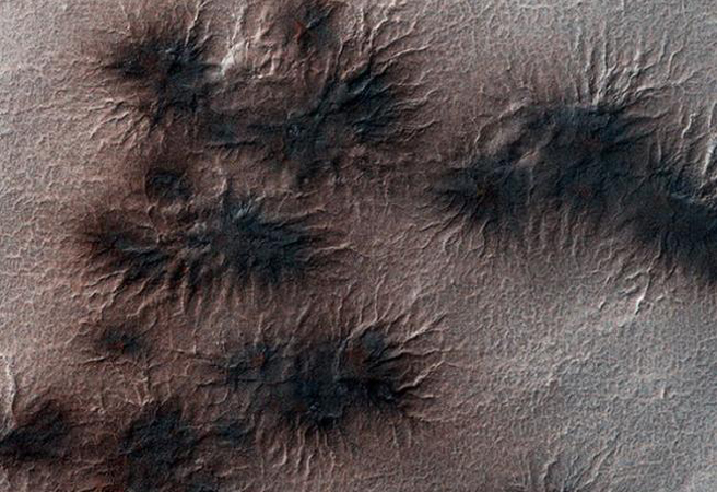 Откриха паяци на Марс