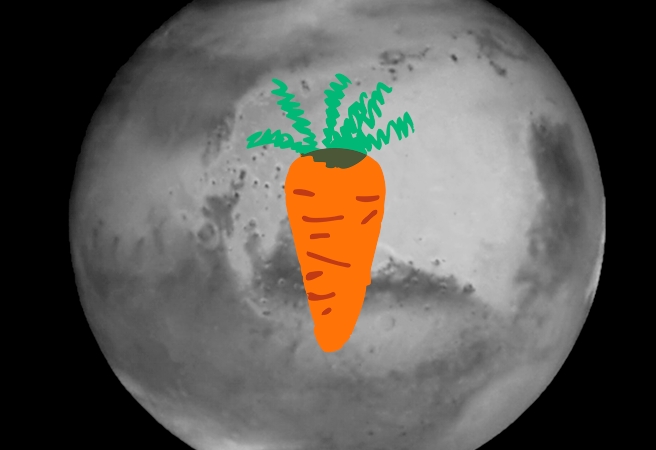 Китайци ще садят зеленчуци на Марс