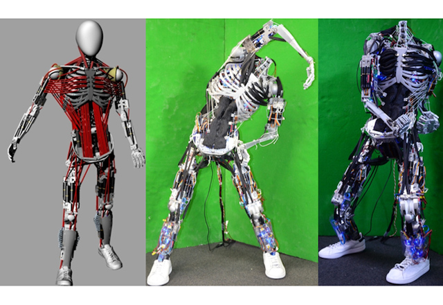 Роботът Кенширо имитира мускулатурата и стойката на човека
