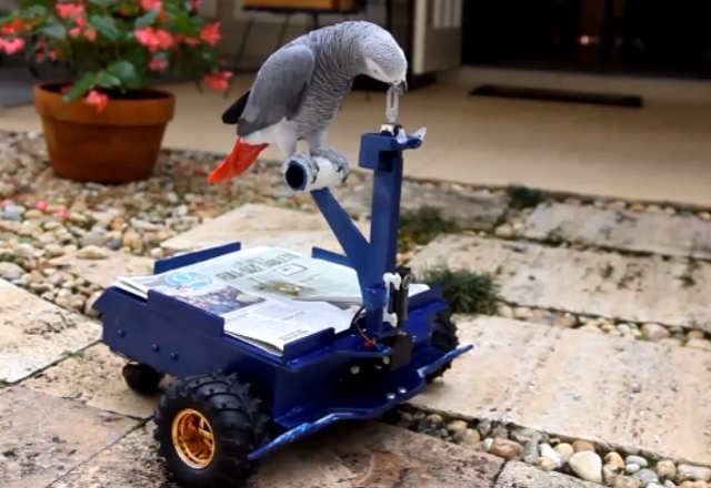 Роботизирана кола за папагали