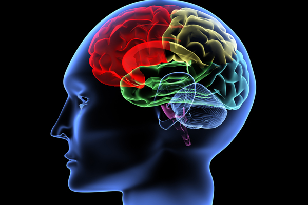 Скан на мозъка показва за кого си мислим