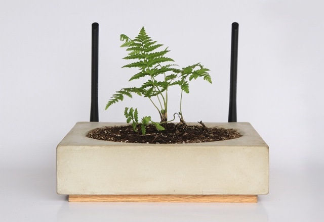 Мраморен Wi-Fi рутер плюс стайно растение в едно