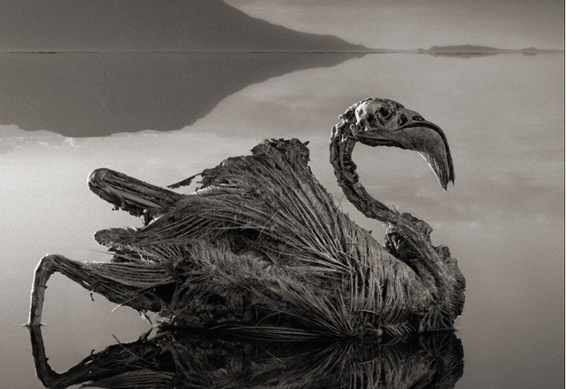 Езерото на смъртта - където животът се превръща в камък