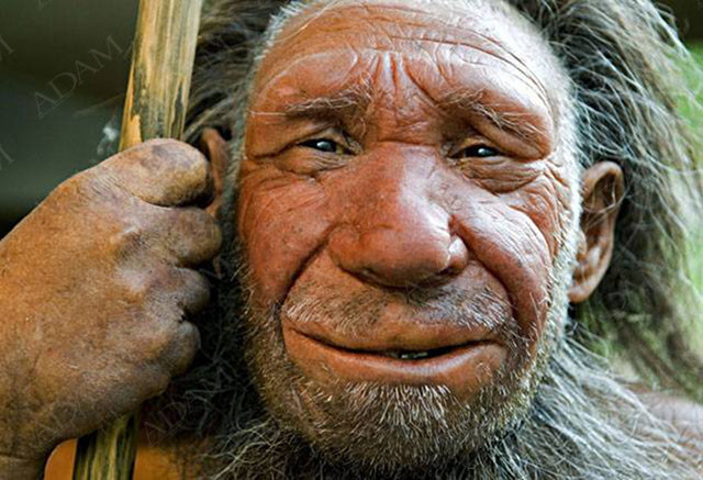 Кръвосмешението сред неандерталците е било ежедневие