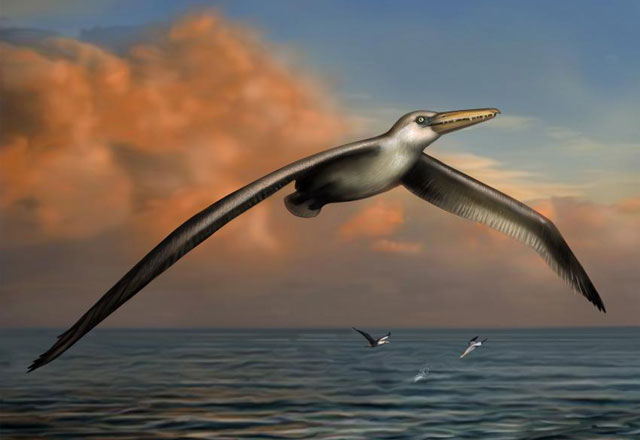 Откриха древна птица със 7-метров размах на крилата