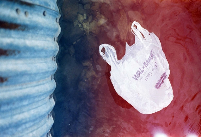Калифорния е първият щат, който ще забрани найлоновите торбички