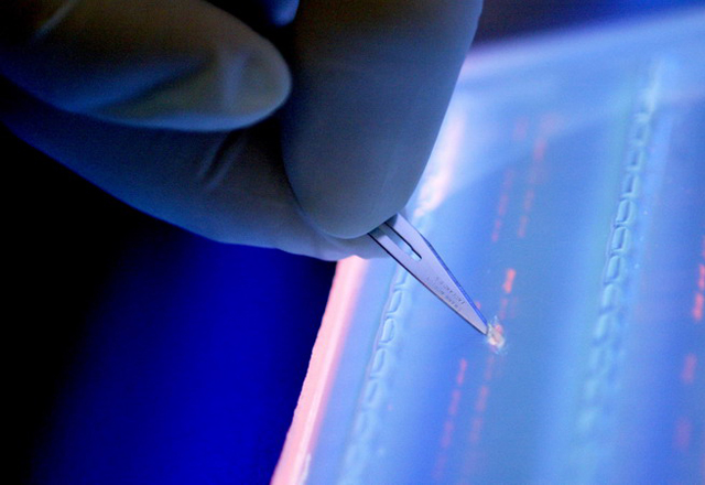 Всички данни на планетата може да се съхранят в чаена лъжичка ДНК