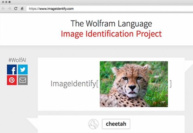 Wolfram пуска нов инструмент за разпознаване на обекти в снимки