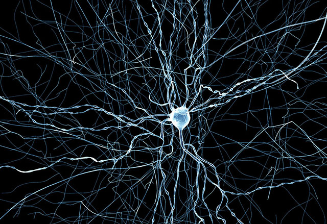 Мозъчна симулация води до пробив в разбирането за съня, паметта и неврологичните заболявания