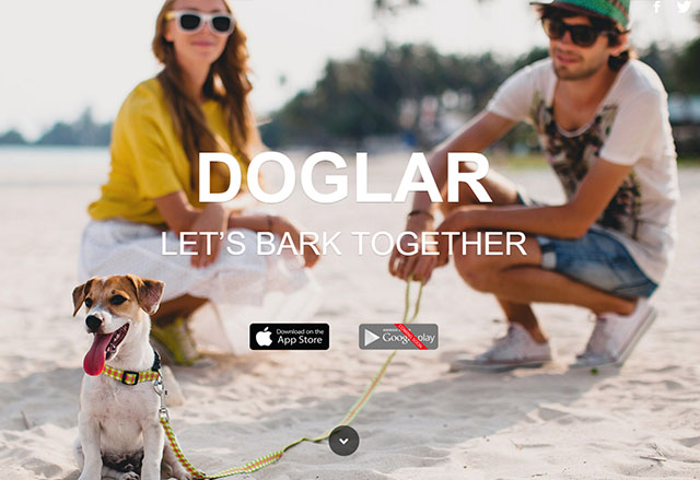 Doglar - мобилната социална мрежа за кучета, стартира официално 