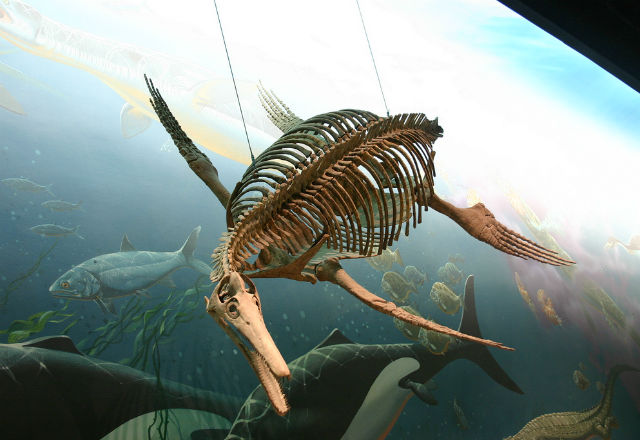 Разкриха тайната за изчезването на ихтиозаврите