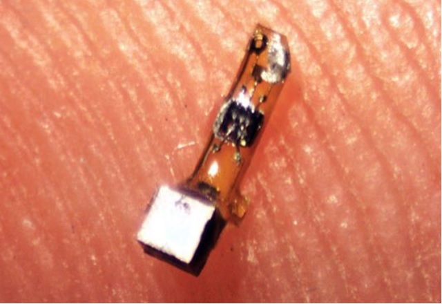 Безжичен сензор с размер на песъчинка може да наблюдава нерви и органи
