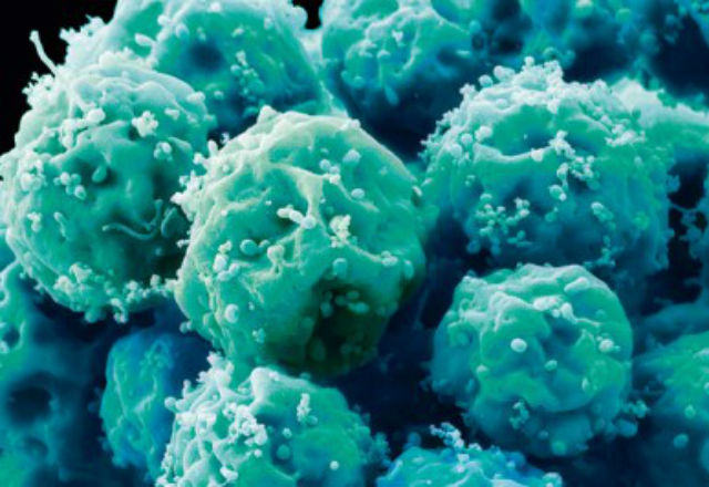 Учени съобщиха за опасност при използването на стволовите клетки за лечение