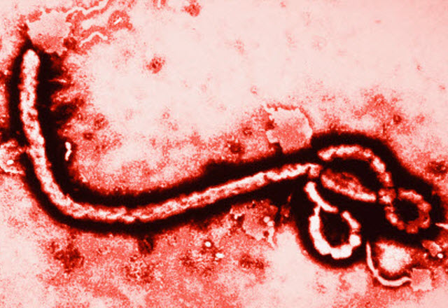Нова ваксина срещу ебола вече предлага пълна защита