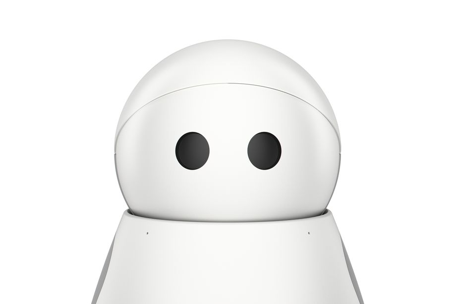 Kuri, роботът, който иска да е част от семейството