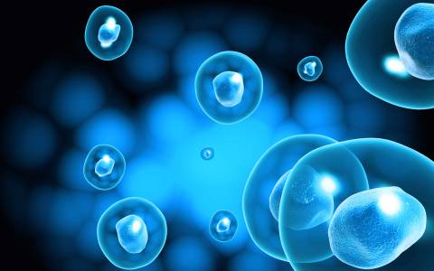 Разработват метод за лечение на Паркинсон чрез стволови клетки на ембриони