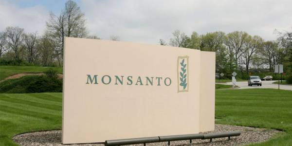 Monsanto ще използва изкустен интелект, за да защитава растителните култури от болести и вредители