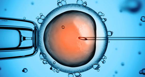Разкриха детайли за първия генетично редактиран човешки ембрион