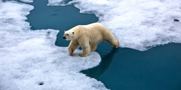 Учени предупреждават за сериозни последици от промените в климата до 2100 година