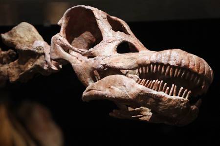 Откриха най-гигантския динозавър, обитавал някога Земята