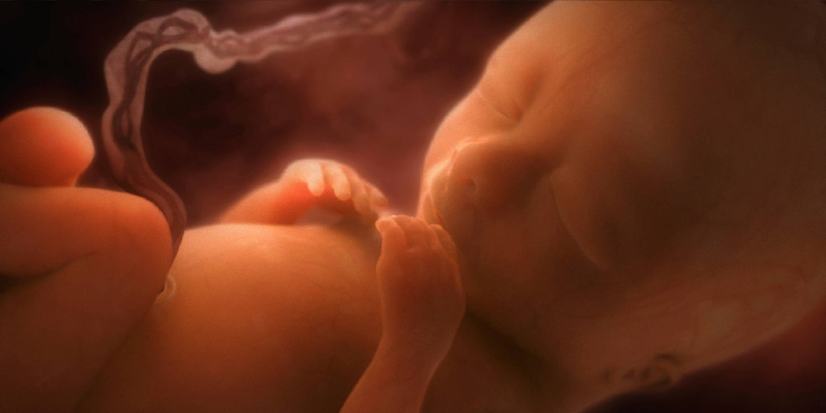 Отглеждането на хора в изкуствени утроби е по-близо до реалността, отколкото си мислите