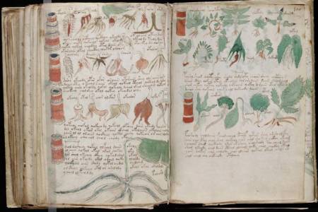 Мистериозният ръкопис на Войнич отново предизвика дебати и спорове