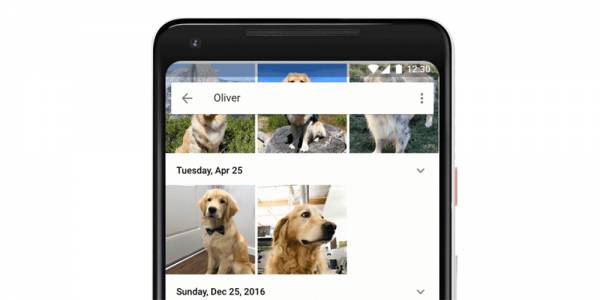 Google Photos вече може да открива снимките на вашето куче или котка