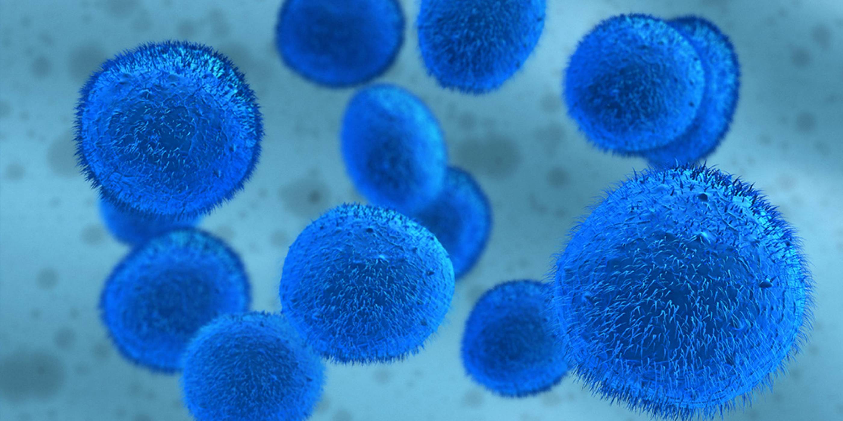 Учени откриха начин да култивират голям брой стволови клетки