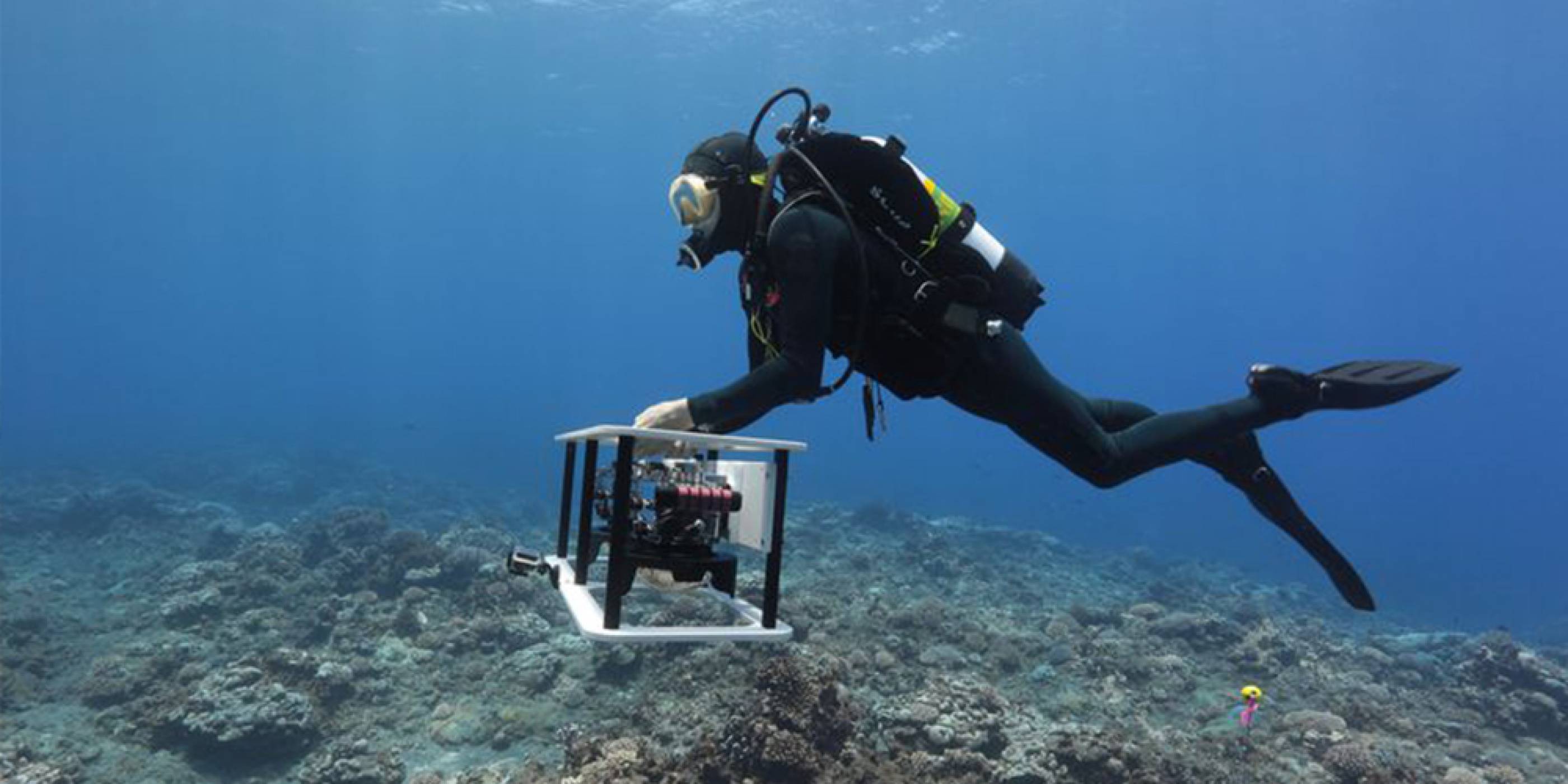 3D картографиране може да ни помогне да спасим кораловите рифове