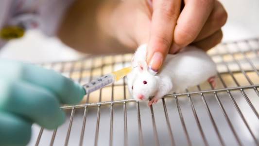  Нов експеримент с процедурата CRISPR забавя прогресивна глухота