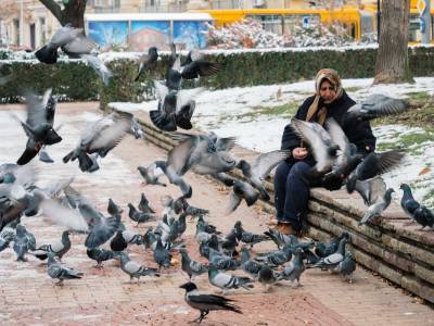 Улична фотография: “Как да станем почти професионални фотографи”, епизод 4