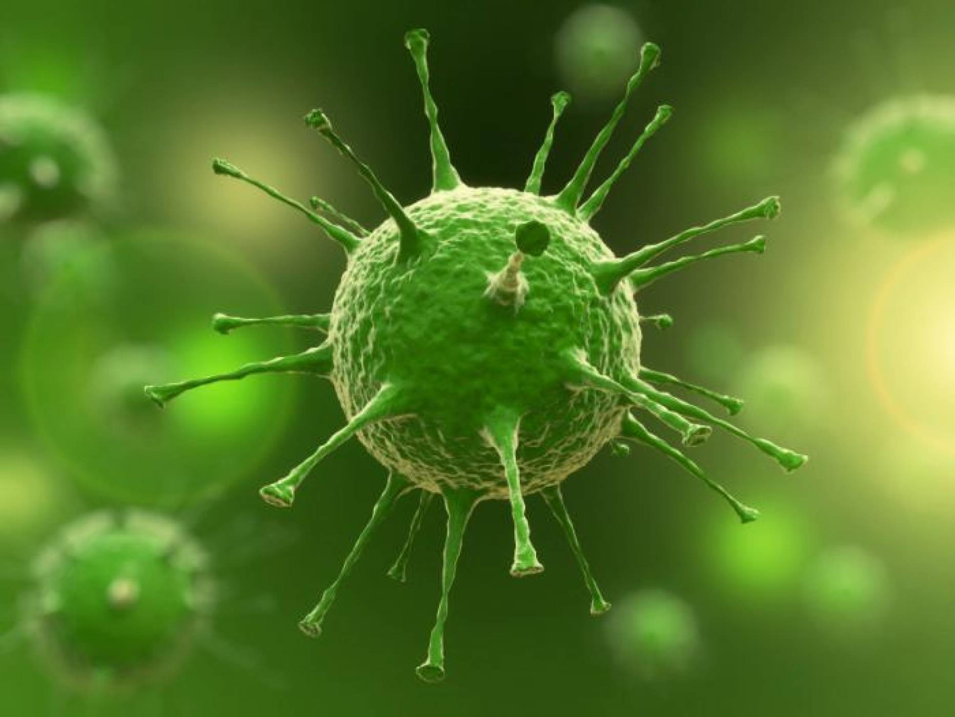 Нови инструменти на метода CRISPR засичат вирусите денга, зика и HPV