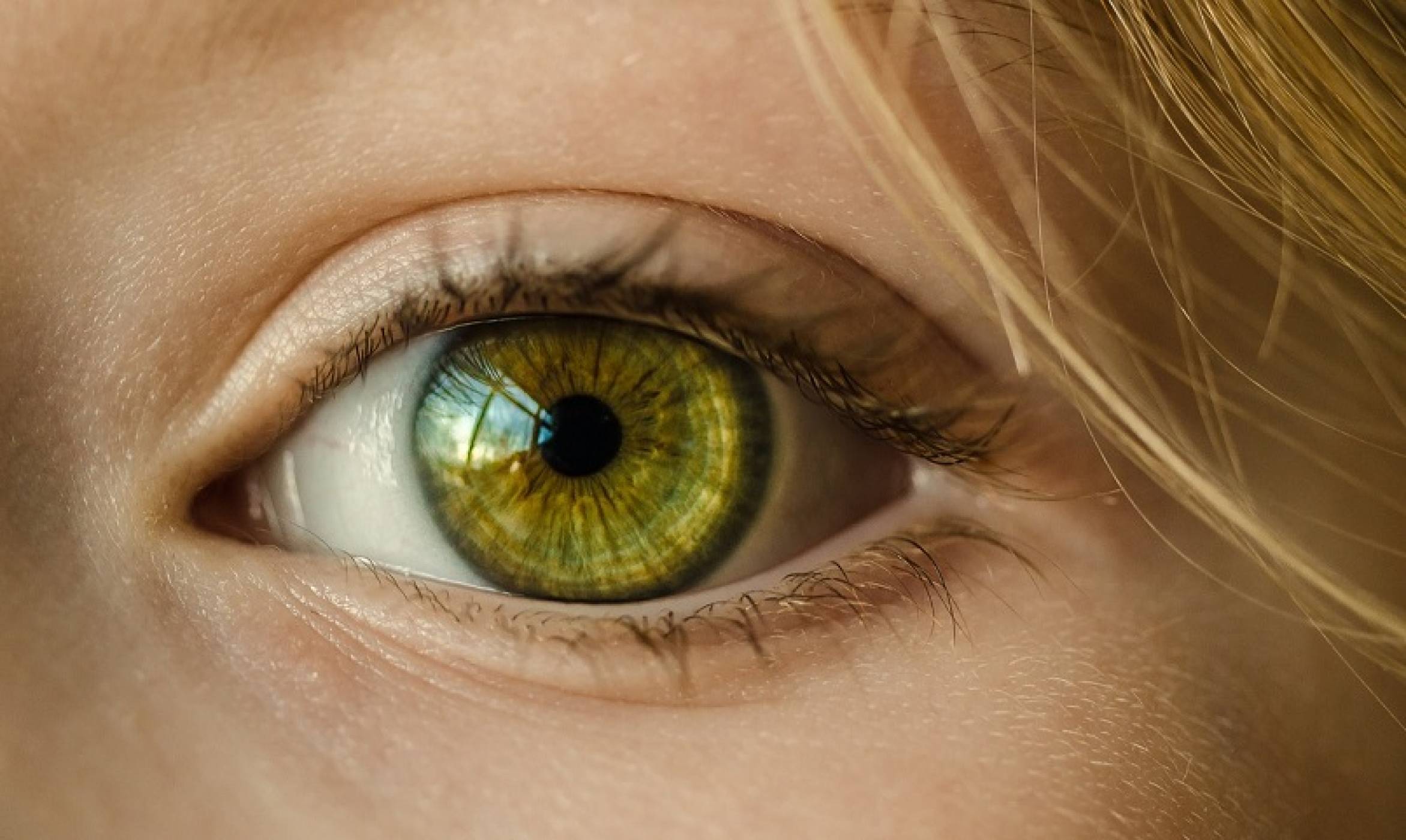Изкуствен интелект от Google улавя сърдечни заболявания през очите