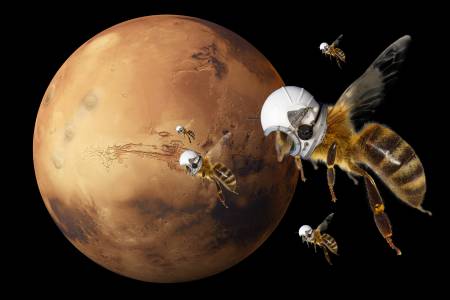 NASA разработват пчели роботи за изследване на Марс от въздуха