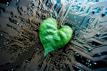 Гениалните постижения на природата: как човешките технологии копират живите организми