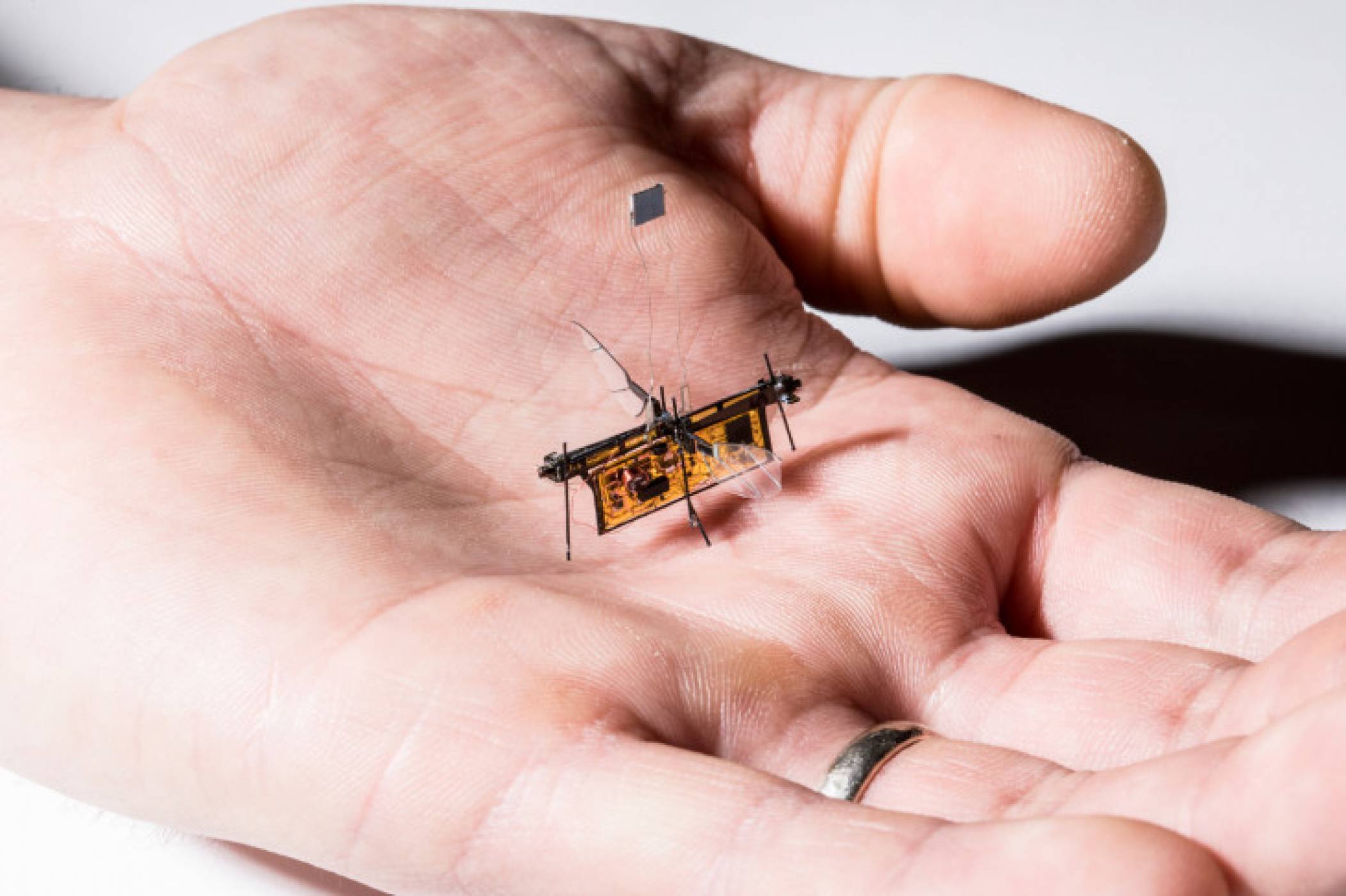 RoboFly е първото безжично летящо насекомо робот 