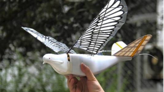 Ято от неуловими за радара птици роботи следи китайците от небето