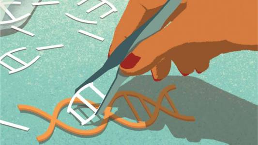 Тежка генетична мутация в човешки ембриони беше премахната с CRISPR