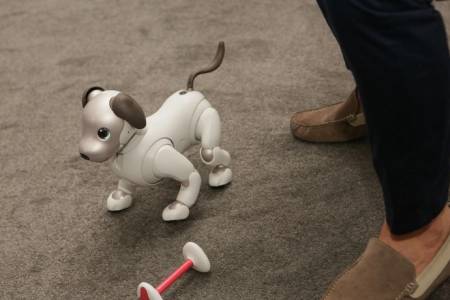 Роботът Aibo може да бъде новият ви домашен любимец 