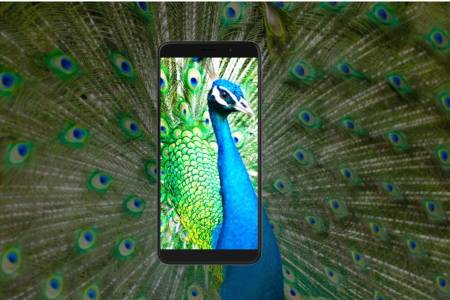 Archos Access 57 4G - първият Android Go смартфон на френската марка