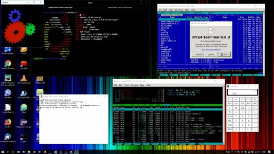 Голяма победа на Linux срещу Windows в Южна Корея