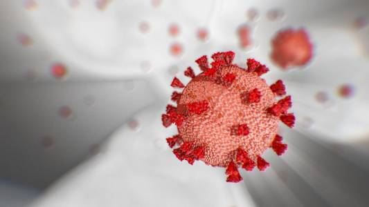 Учени разкриха механизма, чрез който коронавирусът остава скрит за организма