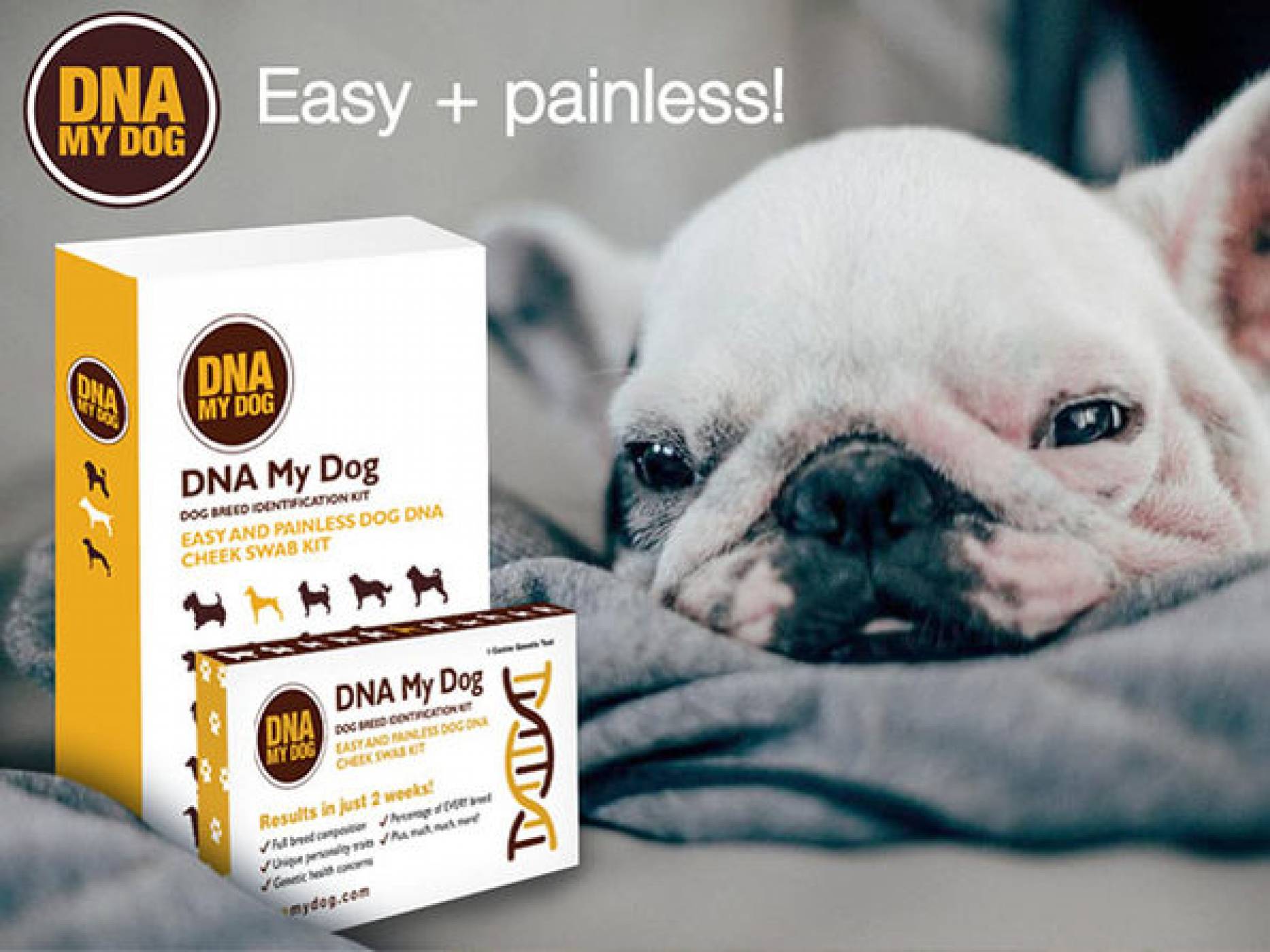 Последната мания: ДНК тест и за кучета