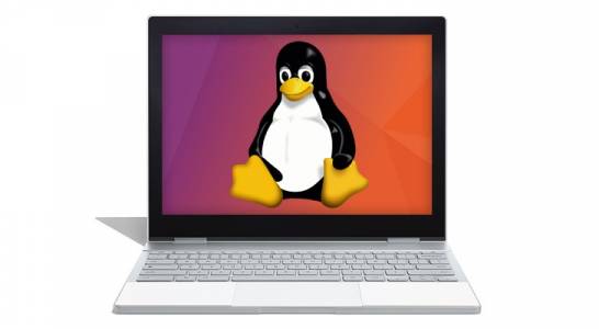 Linux за Chrome OS вече има пълна поддръжка 