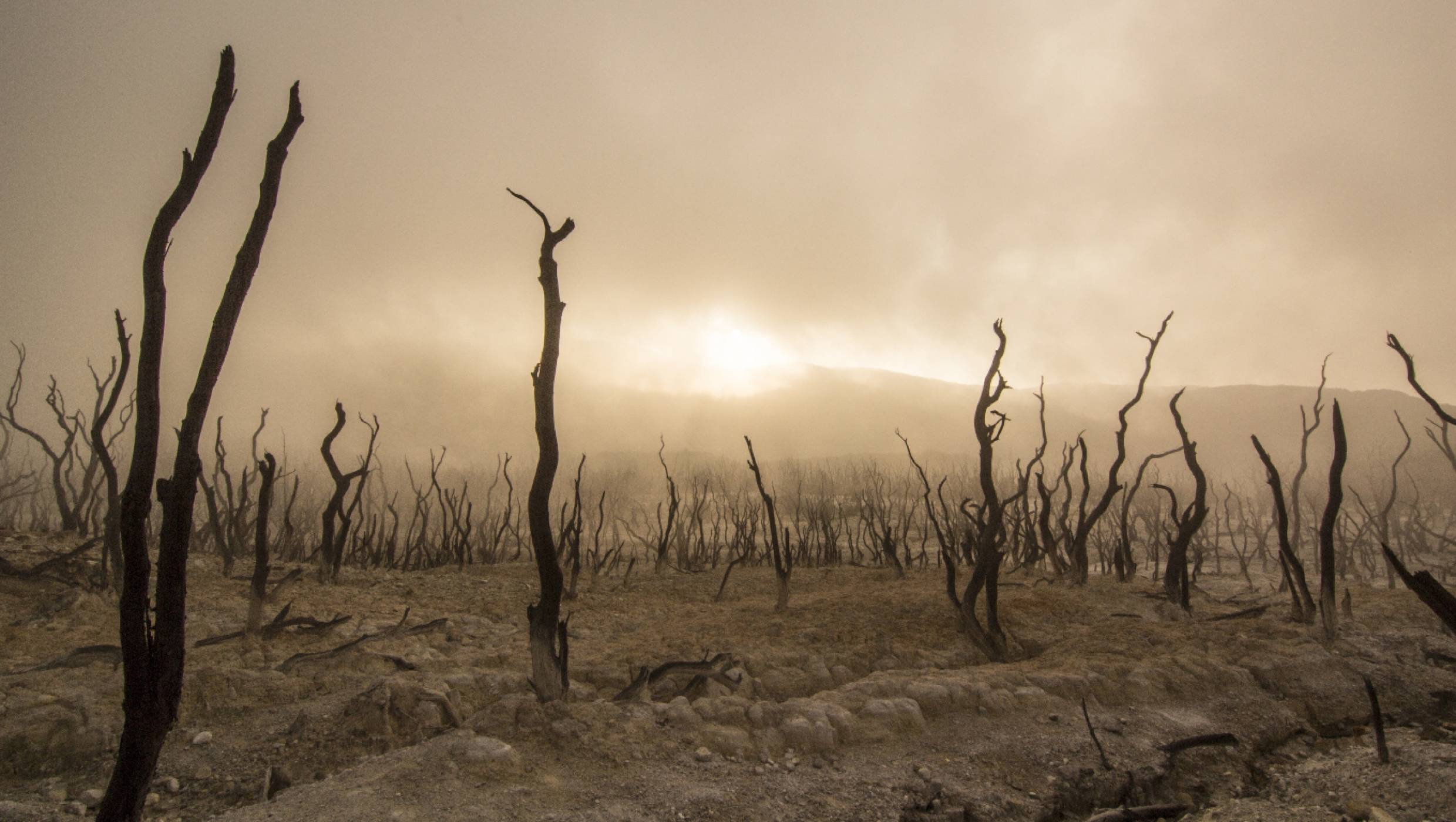 Сушата на Земята може да стане следващата пандемия за човечеството