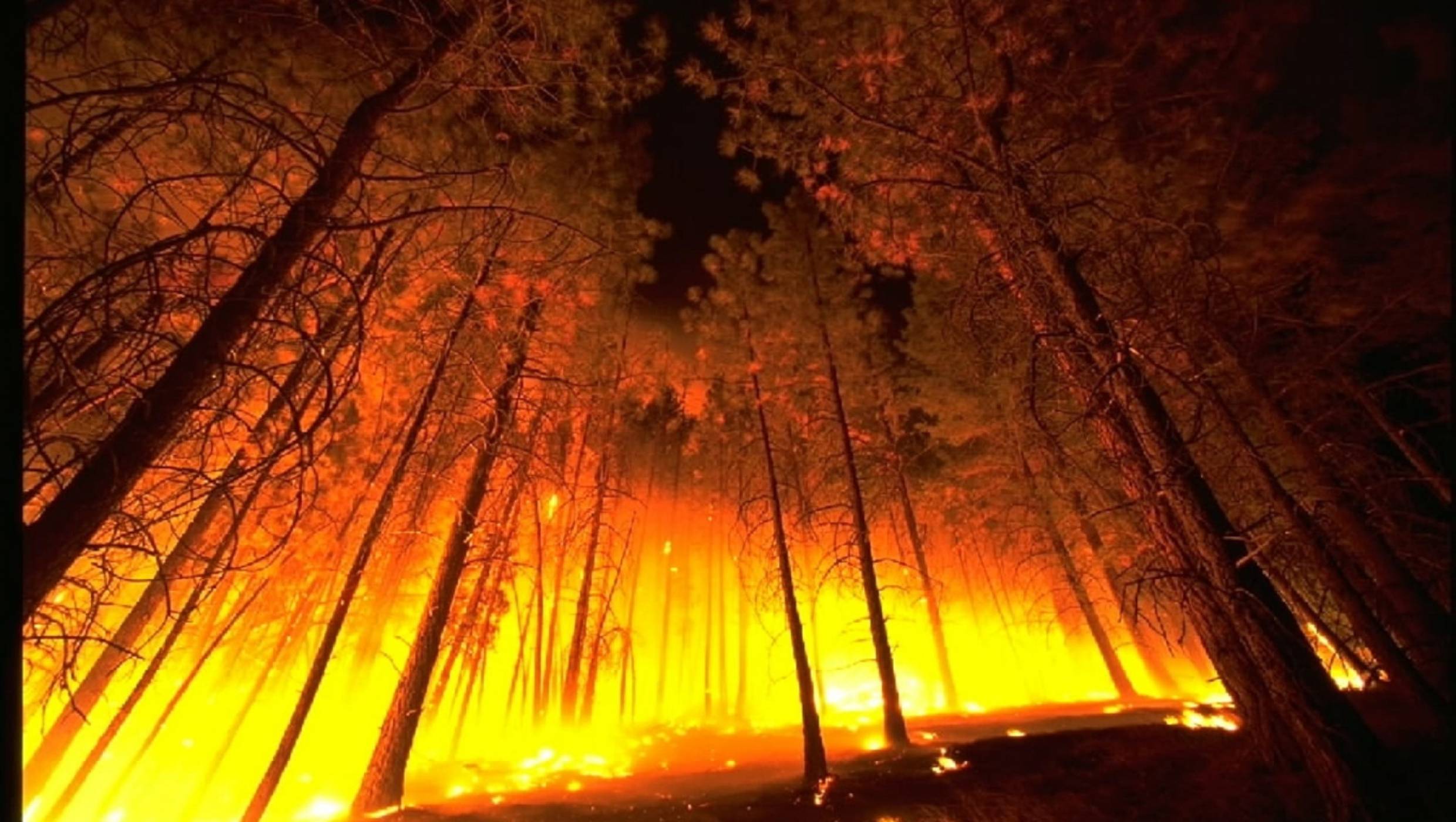 Апокалиптично: горските пожари в Сибир са по-големи от всички останали, бушуващи по света, заедно
