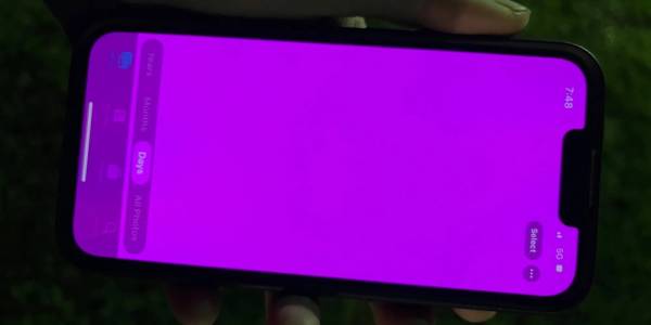 Софтуерен бъг превръща екрана на iPhone 13 в розова каша 